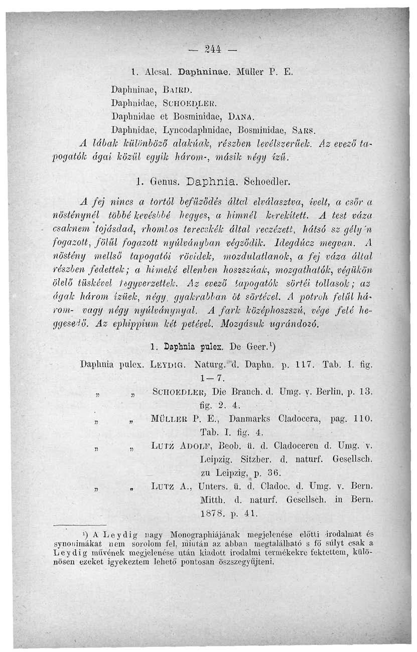 244-1. Alcsal. Daptminae. Müller P. E. Daphninae, BAIRD. Daphuidac, SCHOEDLER. Daphnidac ct Bosmiaidae, DANA. Daplmidae, Lyncodaphnidae, Bosimnidae, SARS.