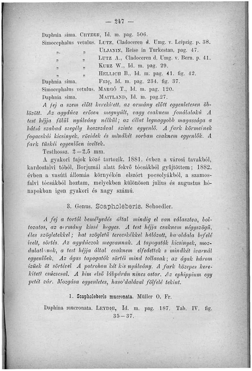 247 Daphnia sima, OiiYZ-ER, íd. m. pag. 506. Siraocephalus vetulus. LUTZ, Cladoceren d. Umg. v. Leipzig. p. 38. ); ÜLJAXIX, Keise in Turkestan, pag. 47. )5 LUTZ A., Cladoceren d. Umg. v. Bem. p. 41.