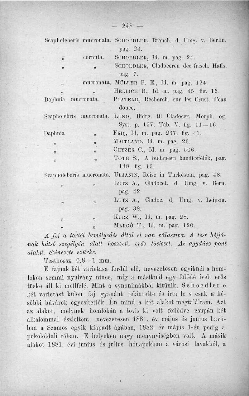 8 Daplmia Scapholebi -is mucronata. Daplmia 11 mucronata. ii' mucronata. ii» 848 Scapholeberis mucronata. SCIIOEDI.ER, Branch. d. Umg. v. Berlin pag. 24. cornuta. ScHOEDLER, Id. m. pag. 24. SCHOKDLKK, Cladoceren dec frisch.
