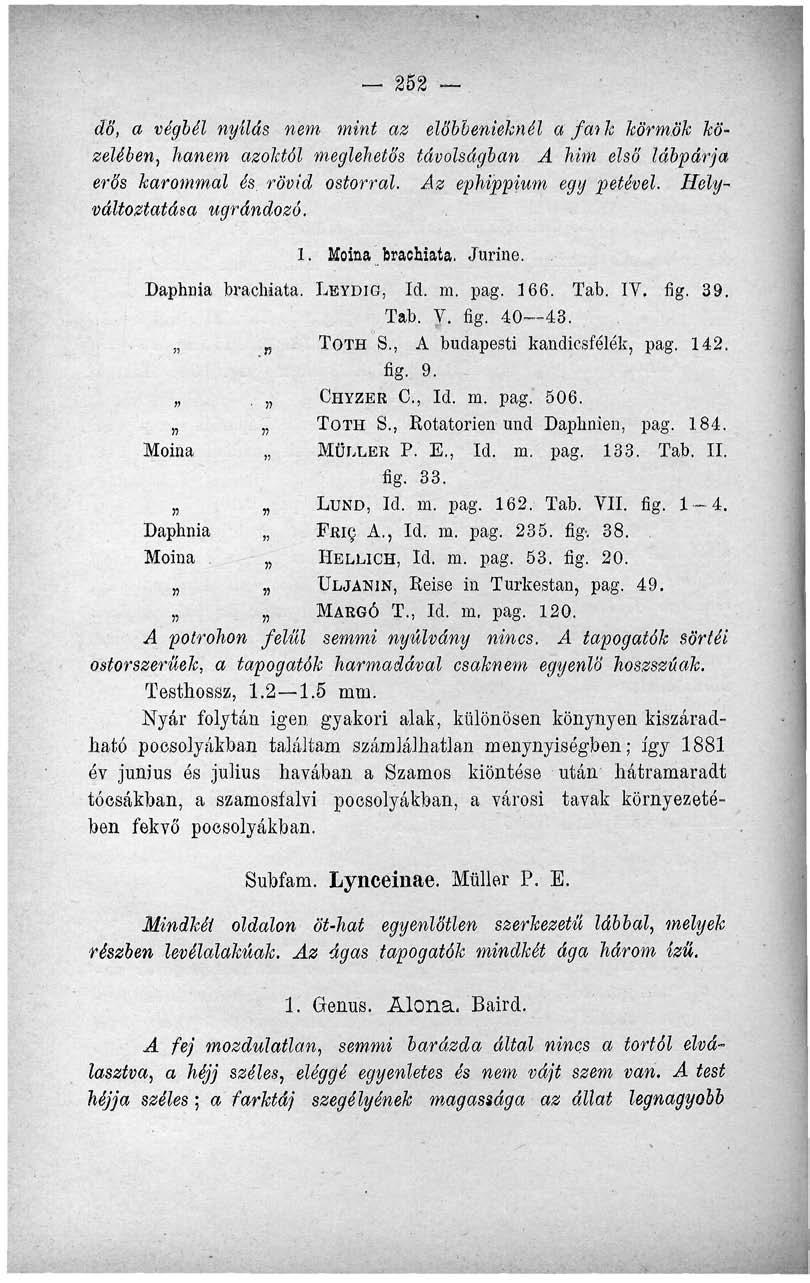 252 dő, a végbél nyílás nem mint az elöbbenieknél a fai k körmök közelében, hanem azoktól meglehetős távolságban A him első lábpárja erős karommal és, rövid ostorral. Az ephippium egy petével.