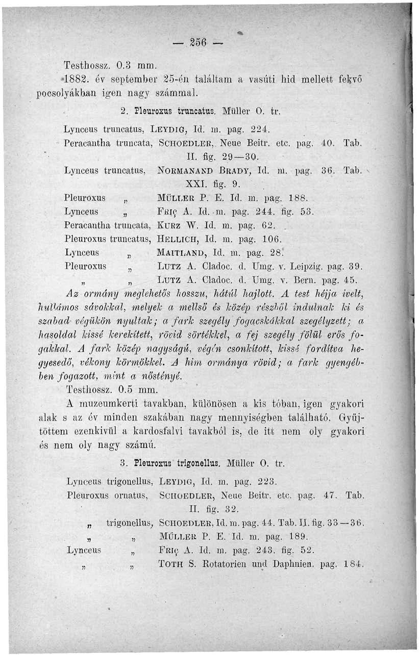 .256 Testhossz, 0.3 mm. 1882. év september 25-én találtam a vasúti hid mellett fekvő poesolyákb-an igen nagy számmal. 2. Pleuroxus truncatus. Mtiller 0. tr. Lynceus truncatus, LEYDIG, Id. m. pag. 224.