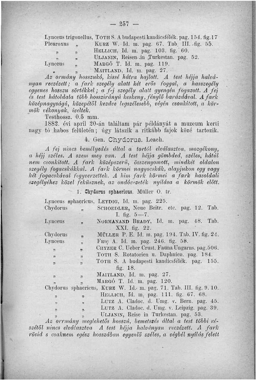 257 - Lynceus trigonellus, TÓTH S. A budapesti kaiidicsfélék. pag. 154.fig.17 Pleuroxus KURZ W. Id. m. pag. 67. Tab. III. fig. 55. HELLICH, Id. m. pag. 103. fig."60. U.LJANIN 1, Reisenin Jurkestan.