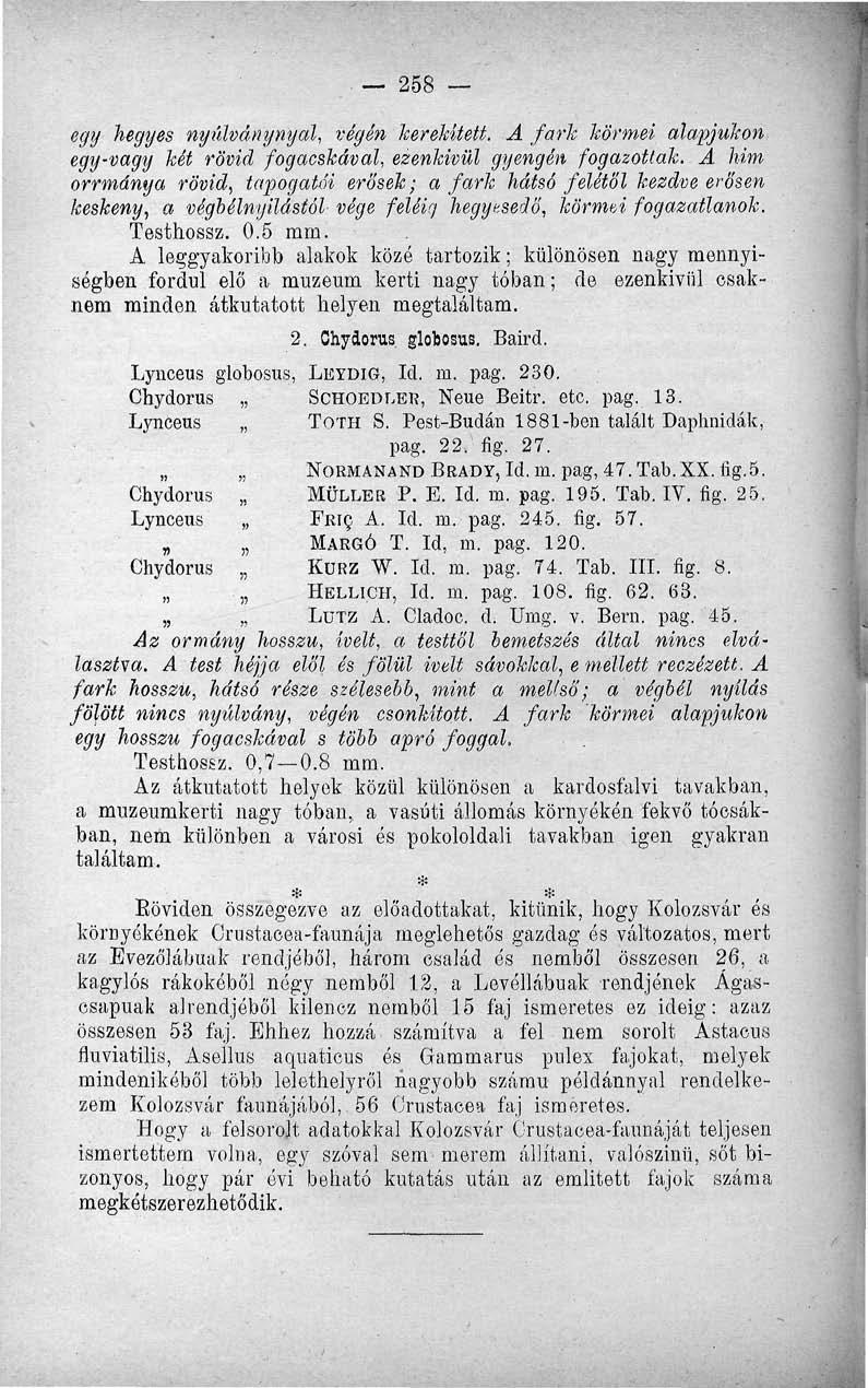 258 egy hegyes nyúlványnyal, végén kerekített. A fark körmei alapjukon egy-vagy két rövid fogacskával, ezenkivül gyengén fogazottak.