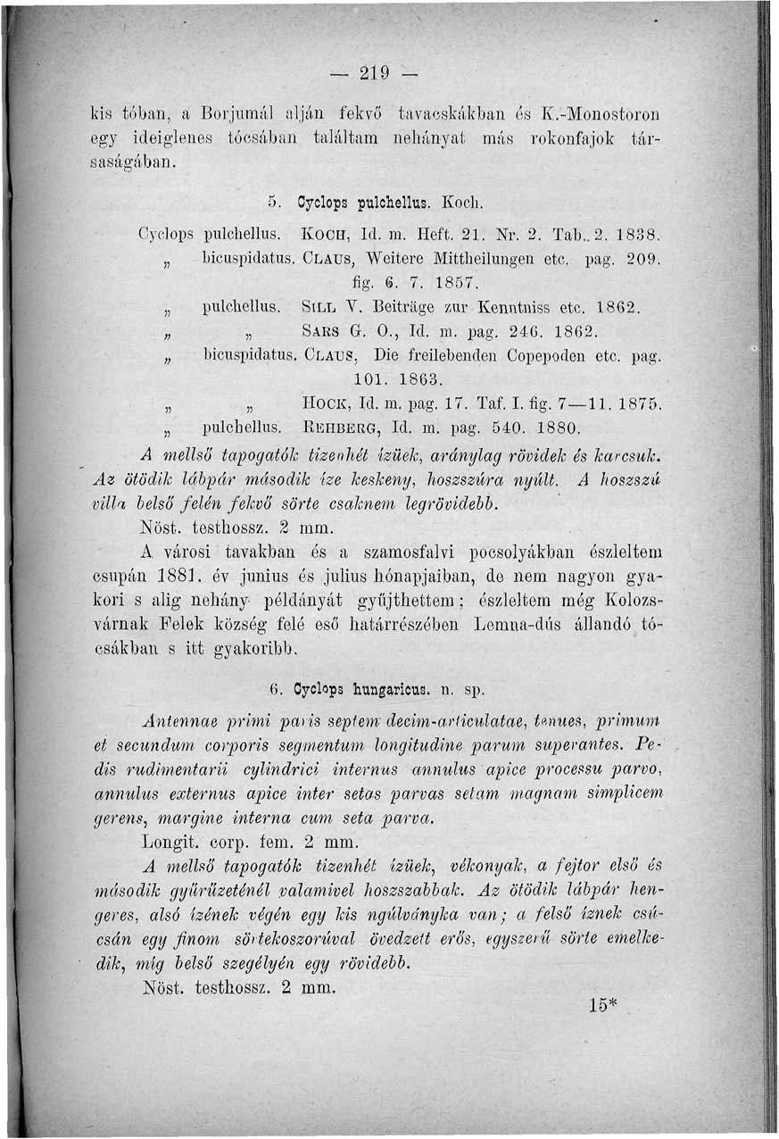 219 - kis tóban, a Borjumál alján, fekvő tavacskákban és K.-Monostoron egy ideiglenes tócsában találtara néhányat más rokonfajok társaságában. 5. Cyclops pulchellus. Kocli. Cyclops pulchellus. KOCH, Id.