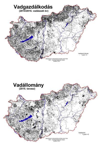 Vaddisznó állományhelyzete Vaddisznó