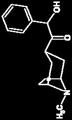 110. Metil-homatropinium-bromid 1 H- 13 C HSQC-NMR spektrum (DMS) ppm 30 40 50 60