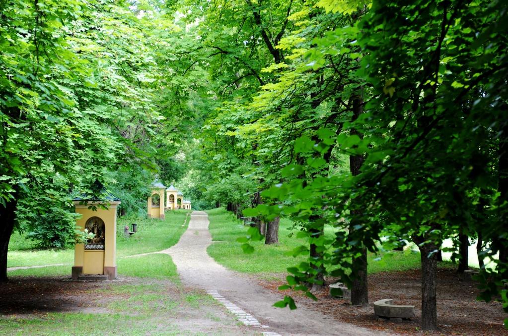 A közösség állandó programjai: bibliaolvasás Ezdrás-Nehemiás (csütörtök, 18.