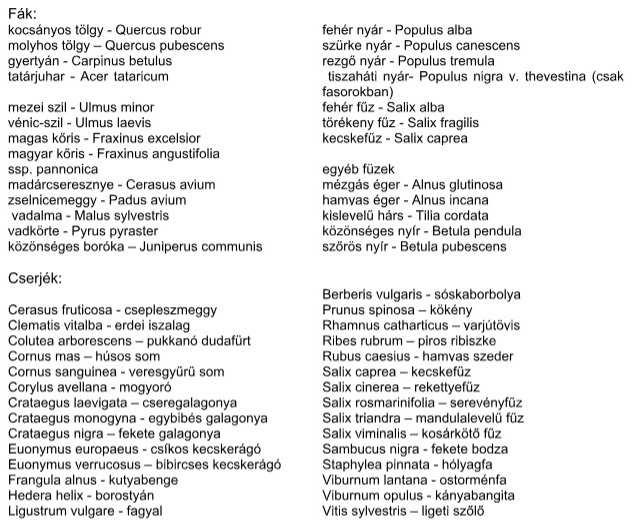 fejezet: Természetesen