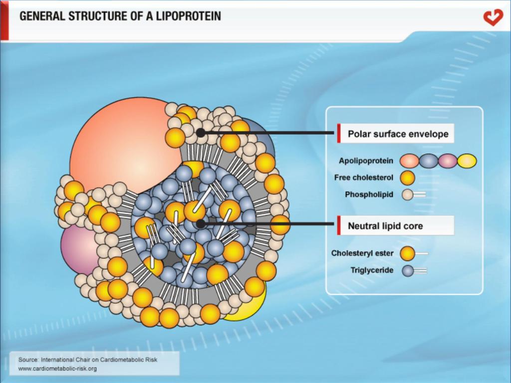 Dyslipidemia 2019 Dr.