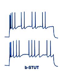 L3PC-cAD L4PC-cAD L4SP-cAD l4ss-cad