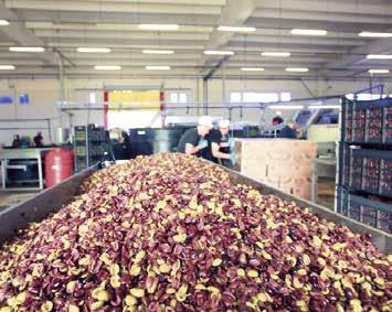 MANI FOODS AZ ESBA TÁMOGATJA A KKV-KET Helyszín: Görögország Ágazat: ipar, mezőgazdaság, kkv-k A díjnyertes Kalamata olajbogyó-üzletág új piacok felé nyit
