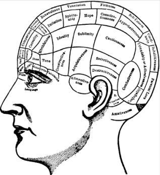 Brain