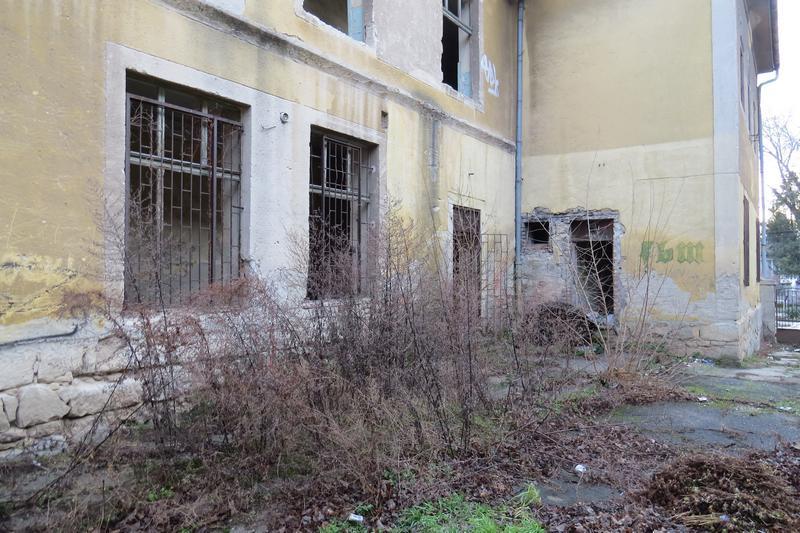 25. kép: növényzettel