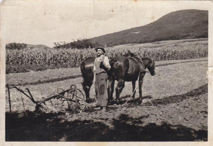 oldal Takács