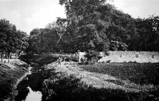 MÚLT-KOR 2. kép. A régi várfal. Schöberl A. fényképész. 1926 táján és a hátlap 1 Illyés B.: Emlékalbum Krippel Móricnak. Mendly L.: Selmeci Újság. Szerk.: Petró D. Erdészeti Múzeum 2012.