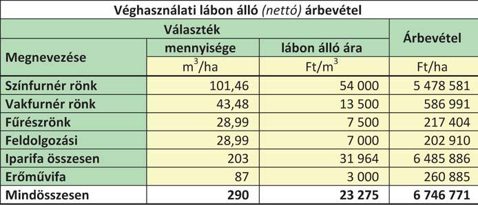 Az intenzív kezelésû NNY iparifa-ültetvények telepítése és fenntartása során kifejezetten mezõgazdasági jellegû termelés folyik.