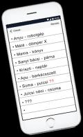 Ez a tavalyi átlagos költéshez képest 6000 Ft többletköltséget eredményez a karácsonyi ajándék vásárlást tervező internetezők körében.