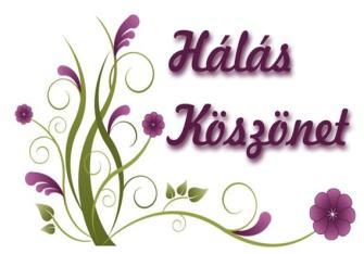 A székely kapu és kerítés újrafestéséhez az anyagiakat Dicsi István, Dicsi Imre, Keizer Tibor és Gizi, Ankucza Jenõ biztosította adományként.