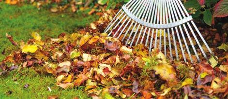 Dès le 23 août, la campagne d automne prendra officiellement le relais et vous aurez jusqu au 27 septembre pour commander un arbre en ligne sur le site unarbrepourmonquartier.org.