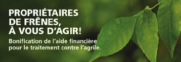 BRANCHE DE FEUILLUS COLLECTE SUR DEMANDE SEULEMENT La collecte a lieu toutes les semaines et son objectif premier est de contrôler la propagation de l agrile du frêne.