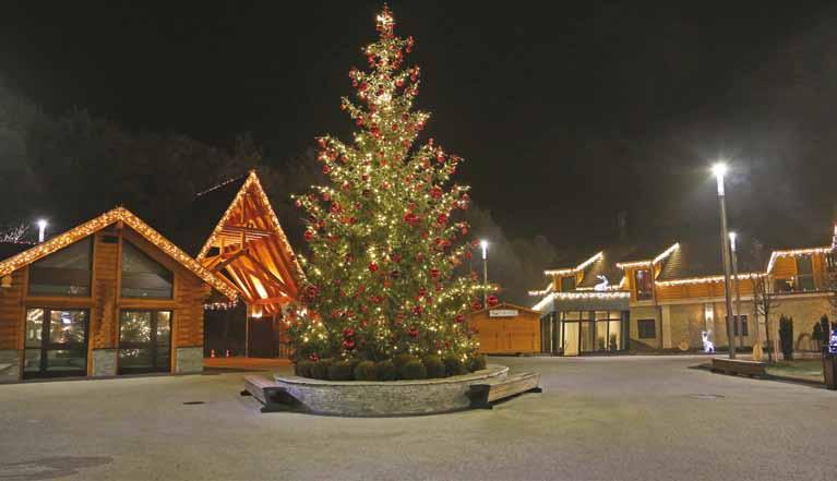 Karácsonyi hangulat az Avalon Parkban Christmas atmosphere in Park Avalon FAREWELL TO THE OLD YEAR IN PARK AVALON The Faculty s Christmas farewell to the old year event is the occasion on which every