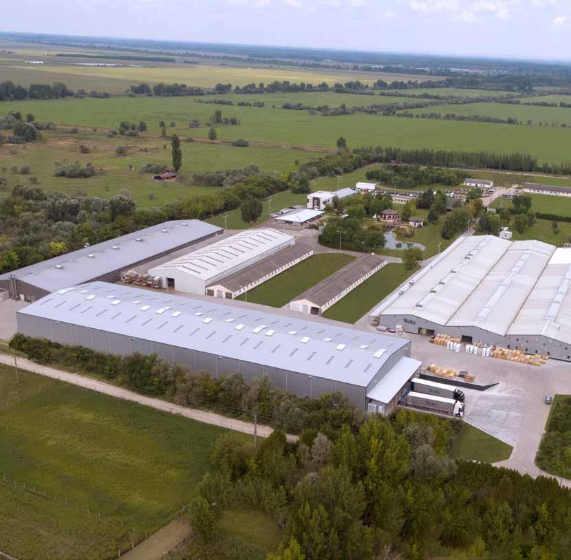 2 a cégről a cégről 3 MAGYAR VÁLLALAT, EURÓPAI MINŐSÉG, XXI. SZÁZADI TECHNOLÓGIA A Wellis Magyarország Zrt.