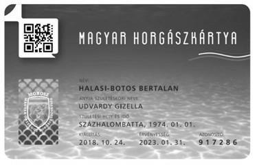 tóba, a maradék, foszforban gazdag iszapot pedig összegyűjti, ezt a balatongyöröki zagytérre szállítják.