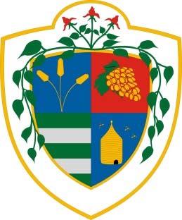 MEGBÍZÓ: Dunaharaszti Város Önkormányzata Cím: 2330 Dunaharaszti, Fő út 152. Tel.: központ (24) 504 459, (24) 504 472 Fax: (24) 370 457 E mail: titkarsag@dunaharaszti.hu Honlap: http://www.