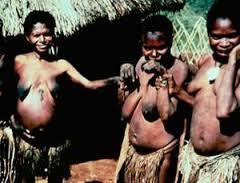 Kannibalizmus funkciói táplálék, csoportvédelem Kannibalizmus Endokannibalizmus (fore népcsoport: Pápua Új-Guinea) halott családtagok elfogyasztása csoportkötelék megszilárdítása (hiedelmek)