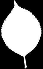 999 299 Muskátli balkonláda önöntözős; 40 cm-es; ár: 649 60 cm-es; ár: 999