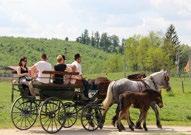 FREE-TIME ACTIVITIES, ACCOMMODATION, RESTAURANTS Game Management Landscape Centre Bőszénfa Game Reserve: We offer free-time and professional activities for groups or individuals in our Game Farm in