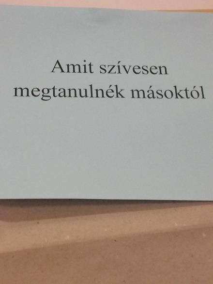 és Halvax Julianna szakértők