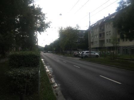 A helyszíni szemle