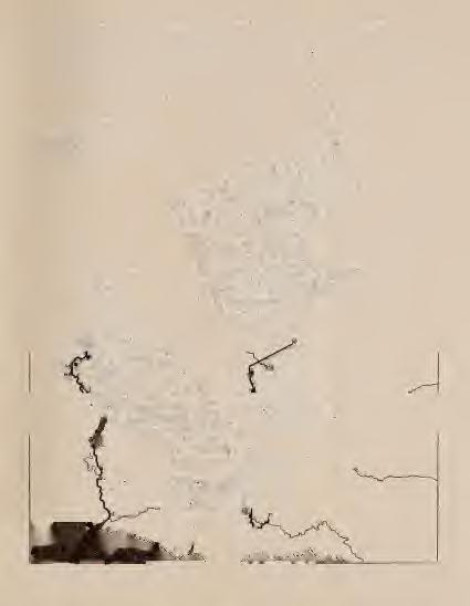 IV. sz.
