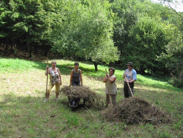 Dolka-gerinc Csókás - Helyiipari-forrás - Garadna jelzett turista utat. 2007.