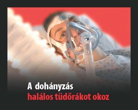 180 A kötelező egészségvédelmi feliratok (29.