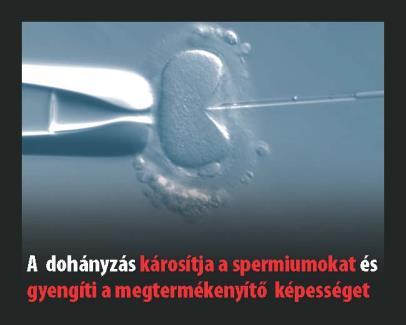 elemek Gyermekegészséggel 