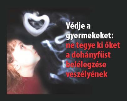 támogató lehetőségekre