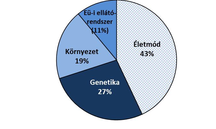 29 Egészségünket meghatározzák a szűkebb és tágabb környezetünk jellemzői, a társadalom berendezkedése, amelyben a mindennapjainkat éljük, környezetünk szociális érzékenysége, családi és munkahelyi