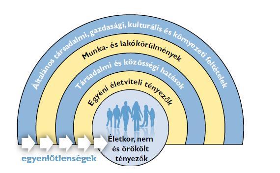 30 Ennek alapján elmondható, hogy egészségünk állapota döntően (73%) külső tényezők függvénye, amelyek befolyásolhatóak, alakíthatóak, szemben a determinisztikus genetikai tényezőkkel, amelyek csak