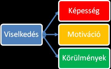 (capability), motiváció (motivation) és lehetőség (opportunity).