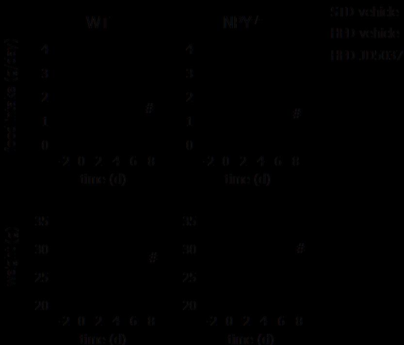 serum leptin (ng/ml) weig Az NPY nem szükséges a perifériás CB25