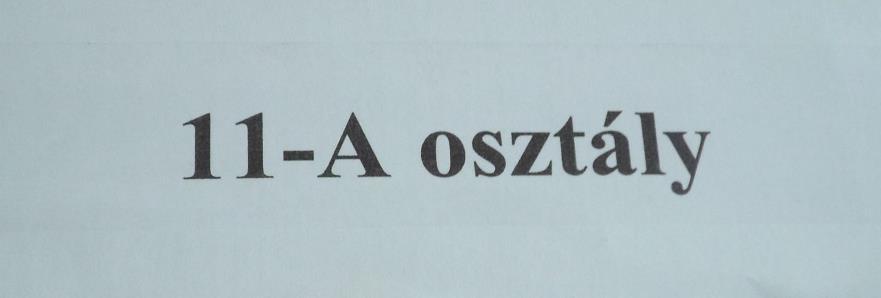 Ezeket megkülönböztethetjük abból a szempontból, hogy saját kezűleg diákok és tanárok közreműködésével készült szemléltetők vagy kereskedelmi gyártmányok.