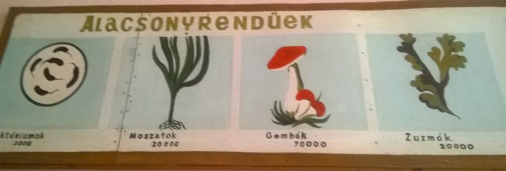 szemléltetőkkel, a líceum gépjárművezető képesítésén