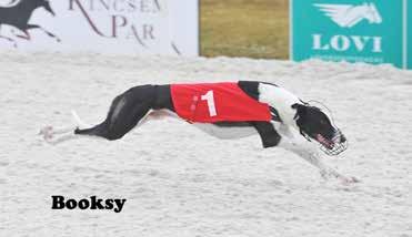 AGÁR 500.000 Ft jackpot Tétre 2017.12.31 FUTAM 19:25 (34) Pálya: 12 - Kincsem Park A futam neve: FM 94.
