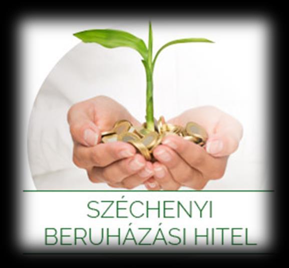 Széchenyi Kártya Hitelprogram A vállalkozás beruházásai, fejlesztései megvalósítását segítő kedvezményes hitel KKV-k számára Legalább egy éve működik Nincs lejárt hitel- és köztartozása Max.