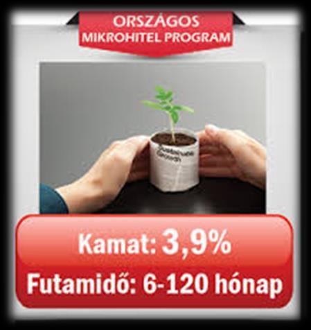 Vállalkozói hitelek alaptípusai: Mikrohitel mikrovállalkozások (induló vállalkozások is) a foglalkoztatottak létszáma 10 főnél kevesebb, és éves nettó árbevétele nem haladja meg a 200 millió forintot