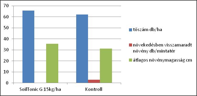 növény gyökere (jobbra) és a kontroll