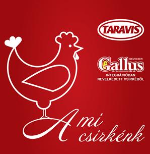 Rugalmas munkaidő, megosztott munkakör, örömkommandó, vagyis a kollégák olykor valami kedvességgel meglepik egymást.