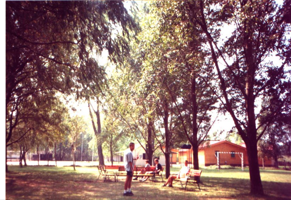 Az intézmény képzési profiljának alakulása, fejlesztése Az 1993.